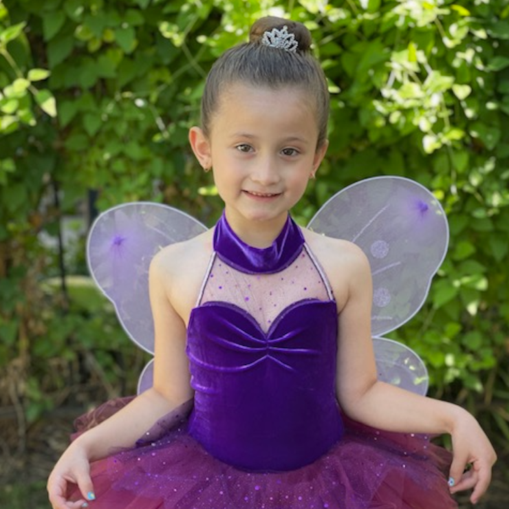 Bridge Academy Scholarship Recipients 2023 Joffrey Ballet